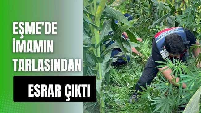 İmam esrar yetiştirirse..!?!